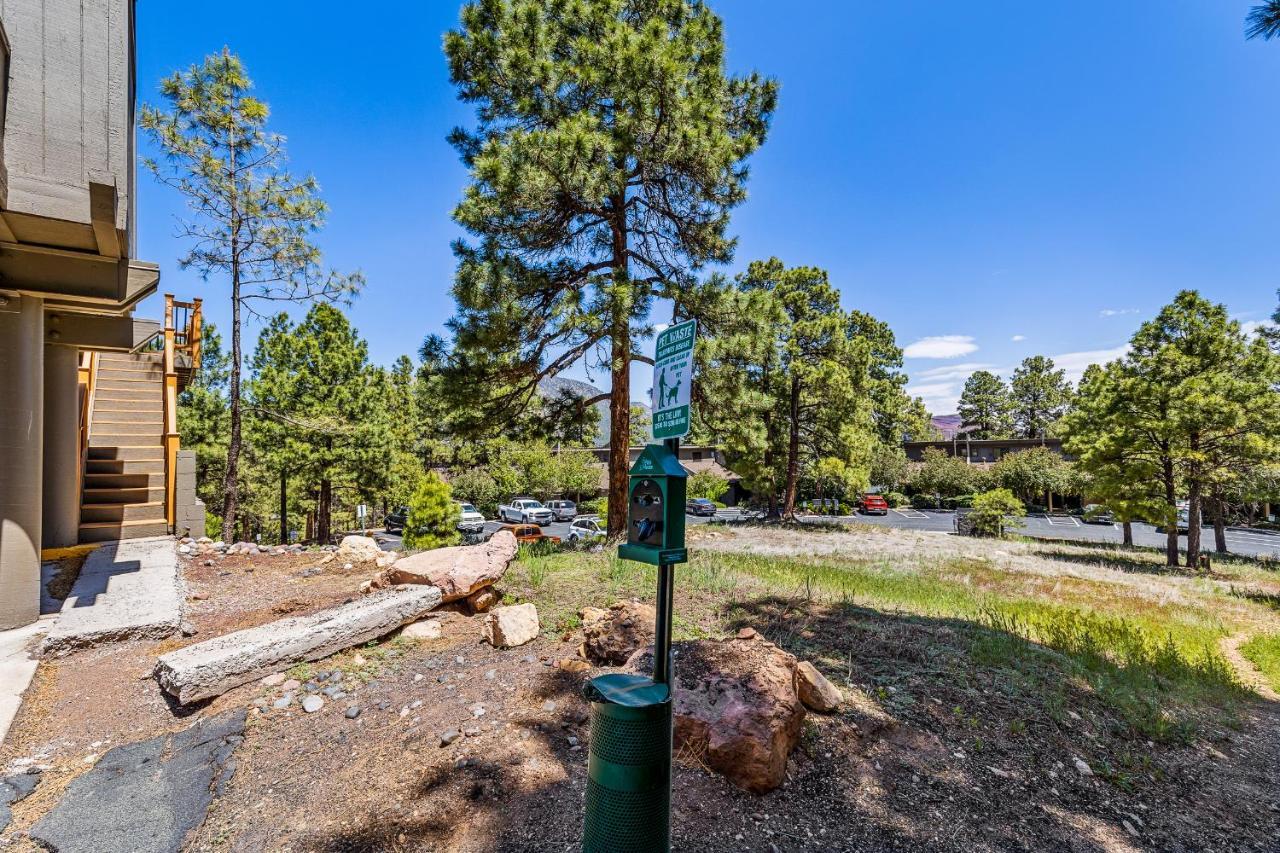 Willa Delightful 1 Bdrm Country Club Retreat With Mt Elden Views! Flagstaff Zewnętrze zdjęcie
